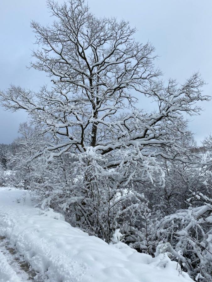 Le Grand Cerf Büllingen