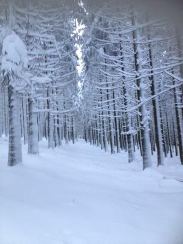 Le Grand Cerf Chalet